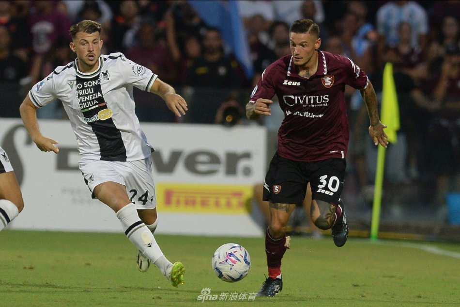 在近年来欧 在近年来欧