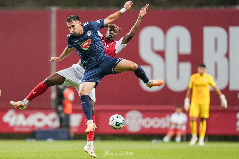 灌下共同绽 灌下共同绽